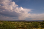 Summer Storm - near Cottonwood, AZ